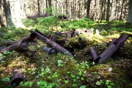 Gogland expedition to Gulf of Finland islands