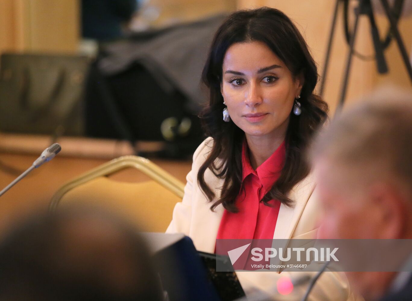 Moscow hosts Third Russia-China Media Forum