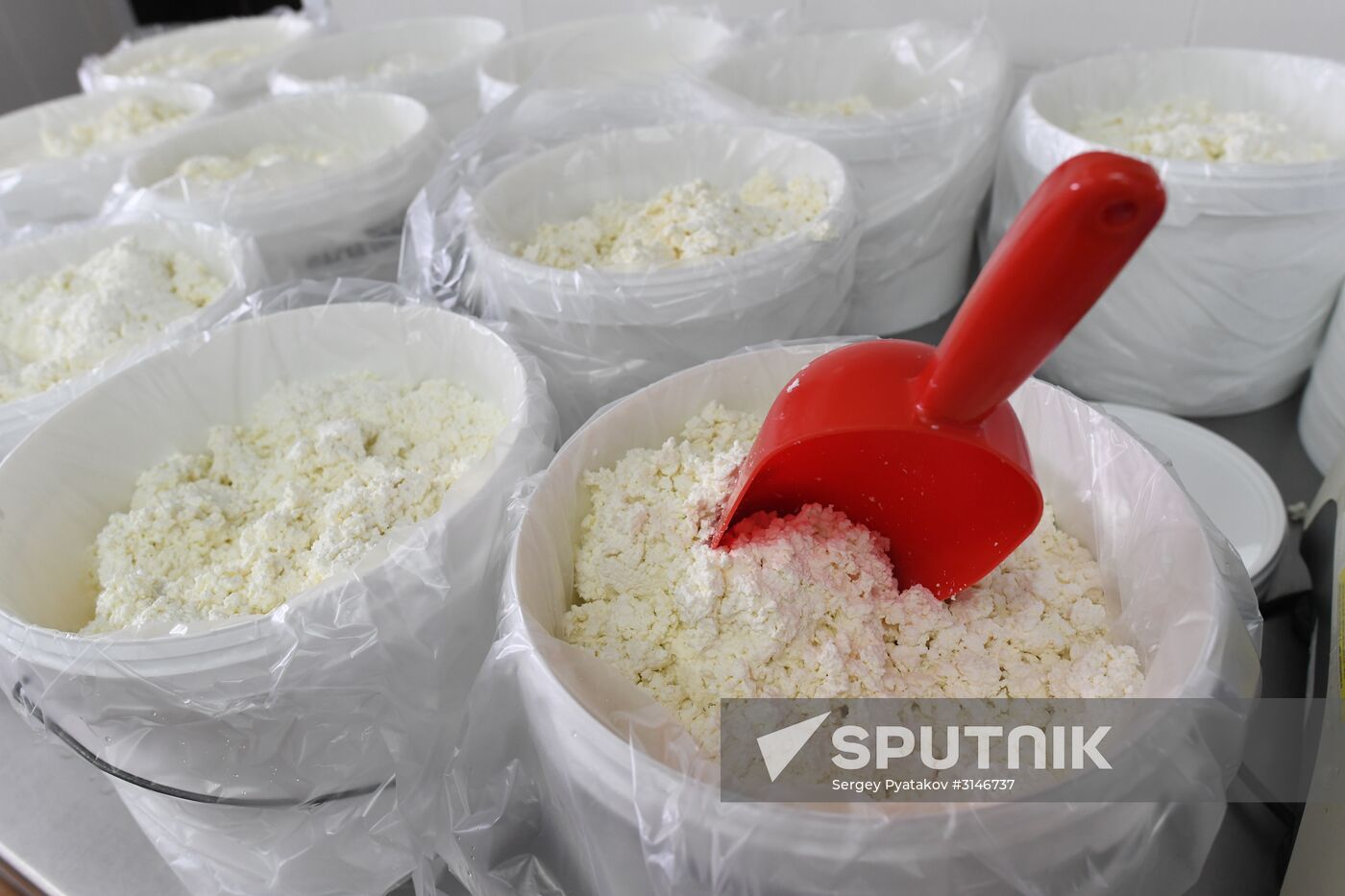 Russian Orthodox Church-owned Zelenogradskoye dairy agro holding