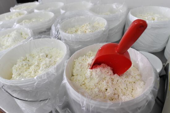 Russian Orthodox Church-owned Zelenogradskoye dairy agro holding