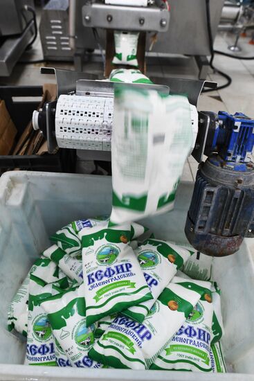 Russian Orthodox Church-owned Zelenogradskoye dairy agro holding