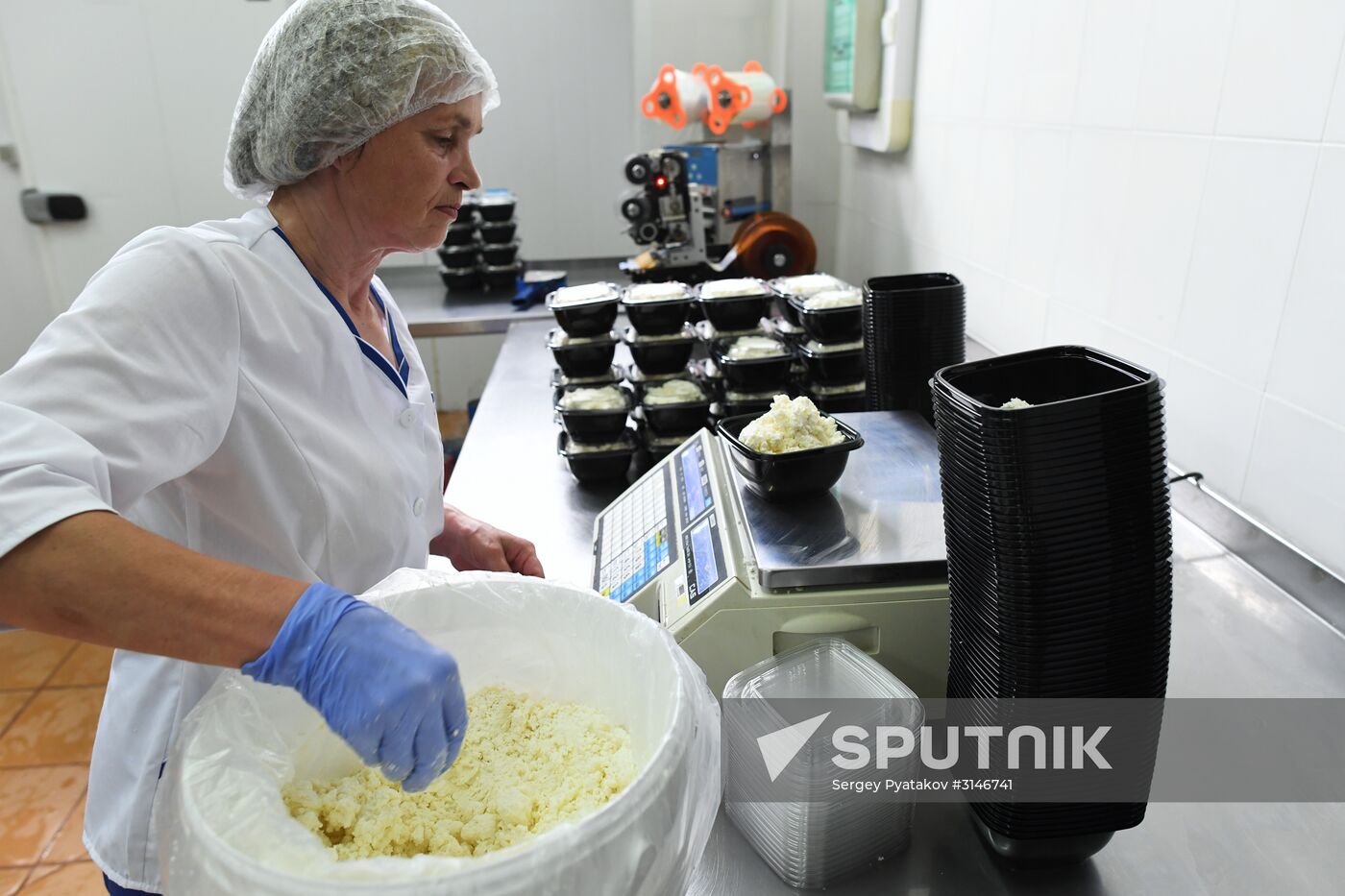 Russian Orthodox Church-owned Zelenogradskoye dairy agro holding