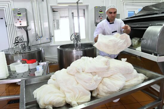 Russian Orthodox Church-owned Zelenogradskoye dairy agro holding
