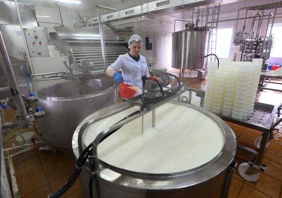 Russian Orthodox Church-owned Zelenogradskoye dairy agro holding