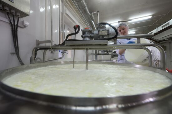 Russian Orthodox Church-owned Zelenogradskoye dairy agro holding