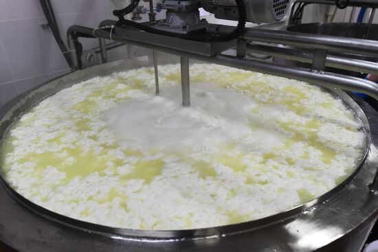 Russian Orthodox Church-owned Zelenogradskoye dairy agro holding