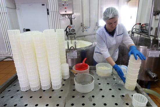 Russian Orthodox Church-owned Zelenogradskoye dairy agro holding