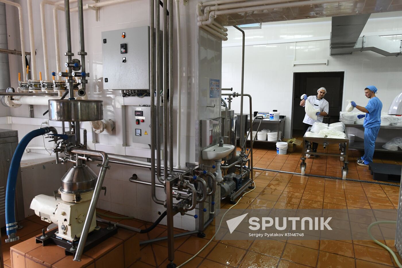 Russian Orthodox Church-owned Zelenogradskoye dairy agro holding