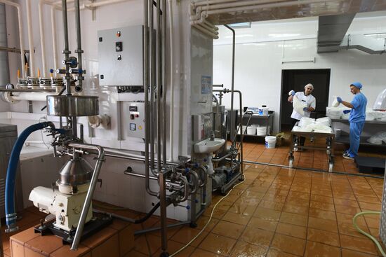 Russian Orthodox Church-owned Zelenogradskoye dairy agro holding