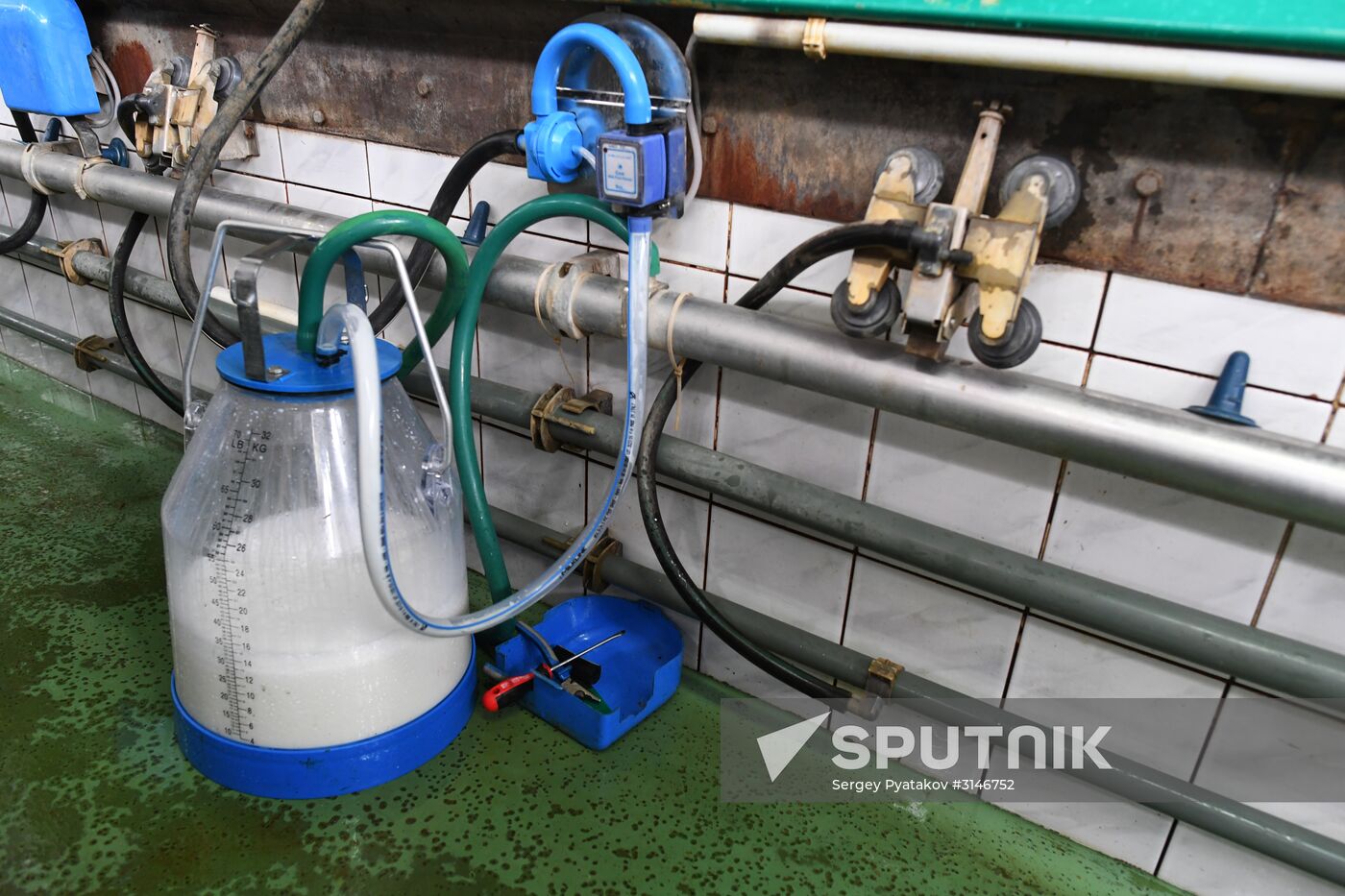 Russian Orthodox Church-owned Zelenogradskoye dairy agro holding