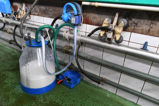 Russian Orthodox Church-owned Zelenogradskoye dairy agro holding