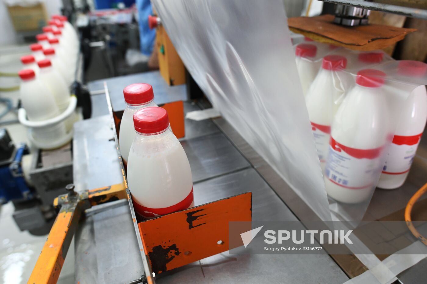 Russian Orthodox Church-owned Zelenogradskoye dairy agro holding