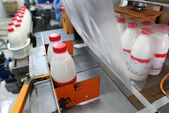 Russian Orthodox Church-owned Zelenogradskoye dairy agro holding
