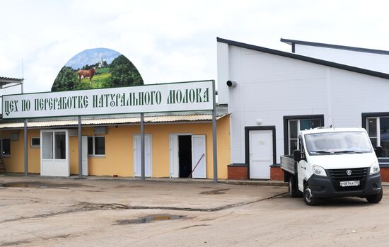 Russian Orthodox Church-owned Zelenogradskoye dairy agro holding