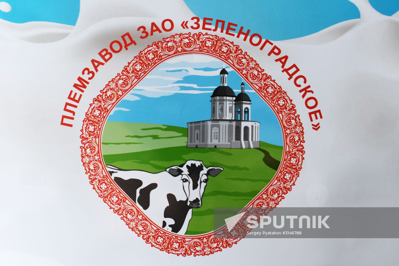 Russian Orthodox Church-owned Zelenogradskoye dairy agro holding