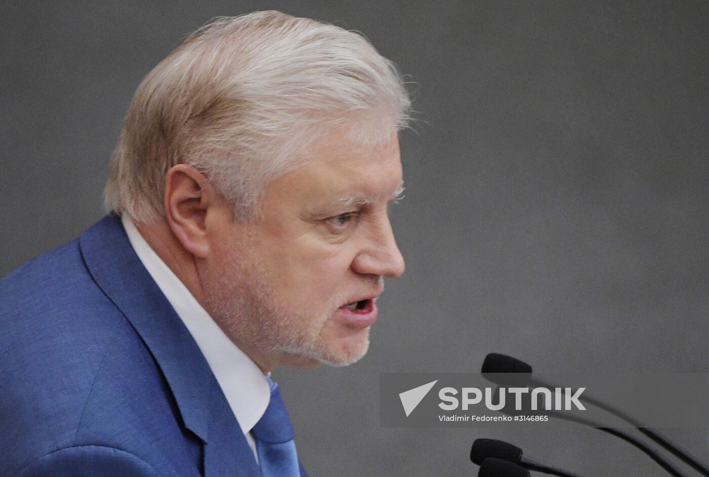 State Duma plenary meeting