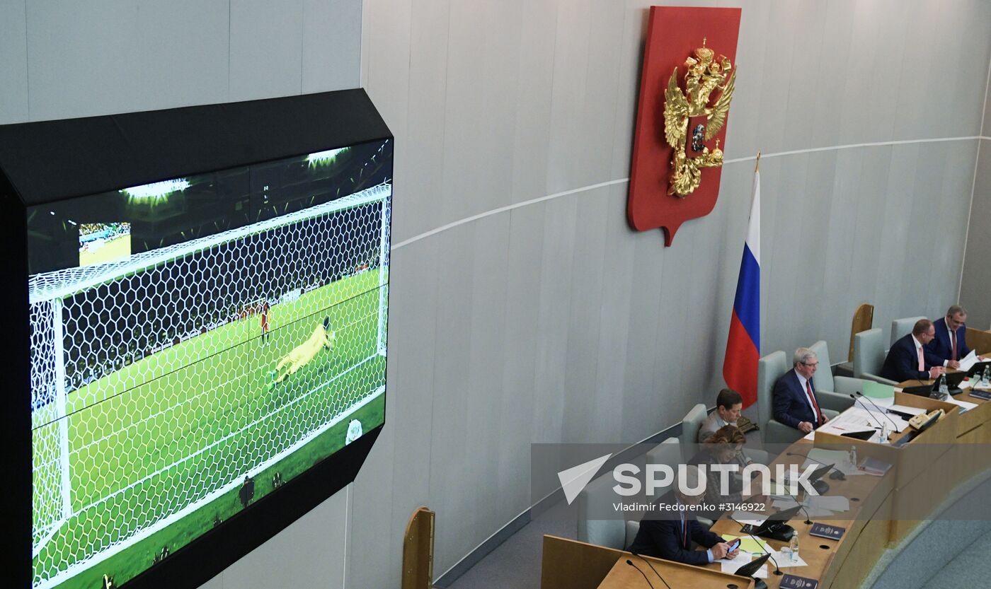State Duma plenary meeting