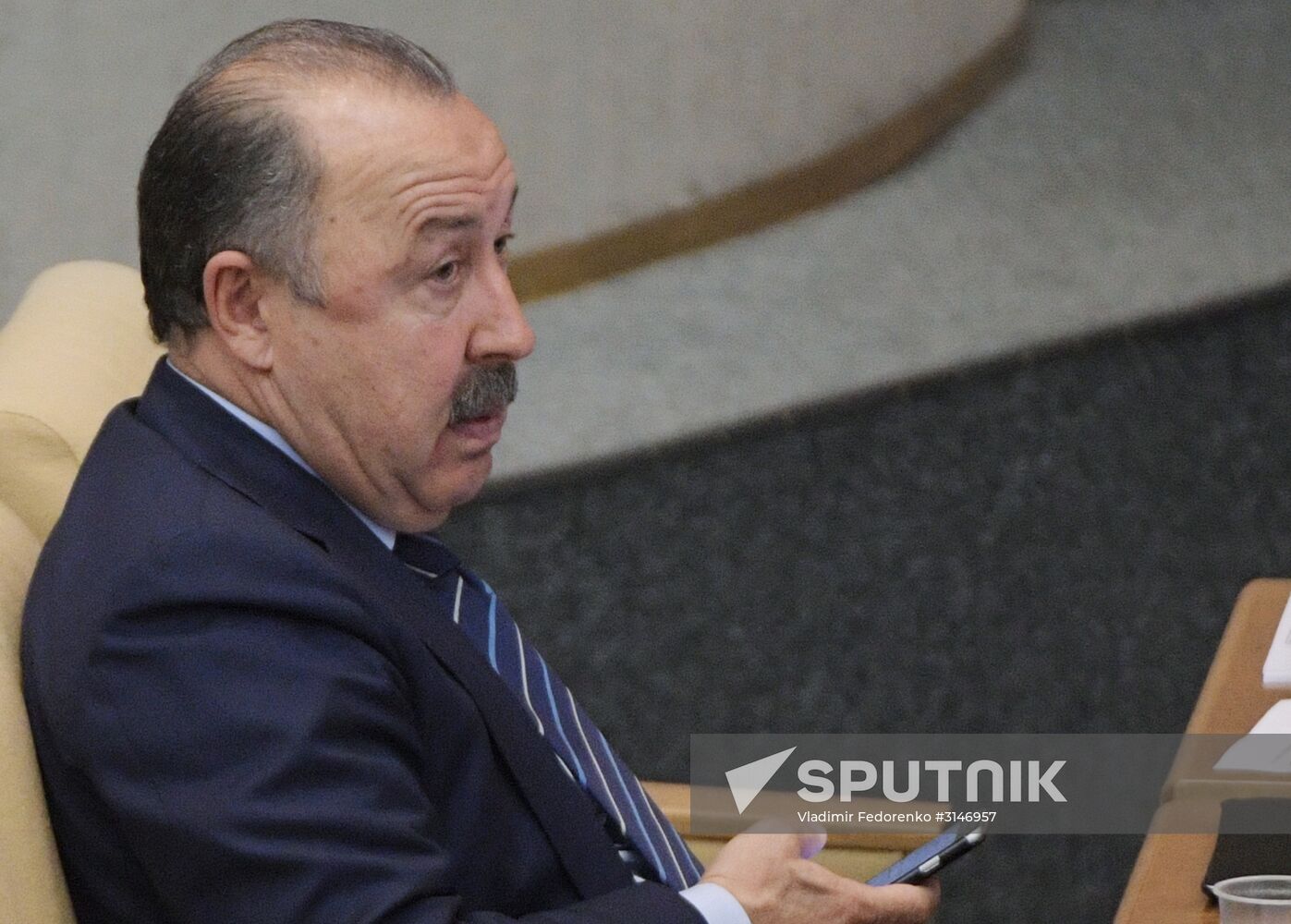 State Duma plenary meeting