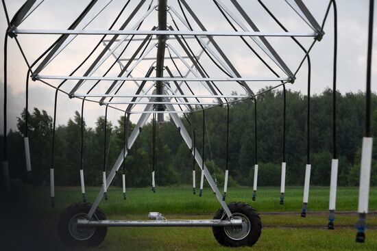 Opening of National Field Day-2017 agroindustrial exhibition and forum