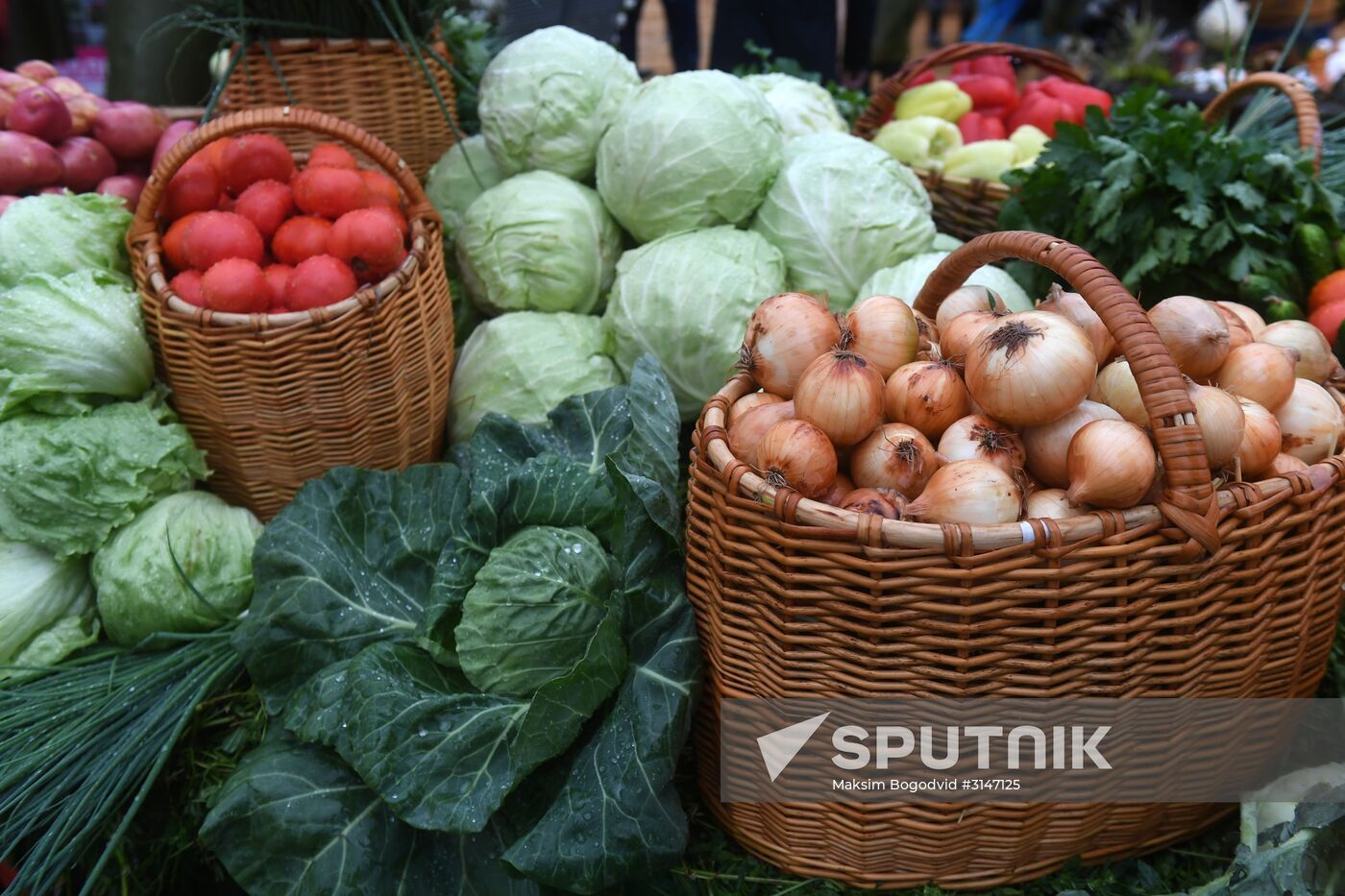 Opening of National Field Day-2017 agroindustrial exhibition and forum