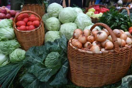 Opening of National Field Day-2017 agroindustrial exhibition and forum
