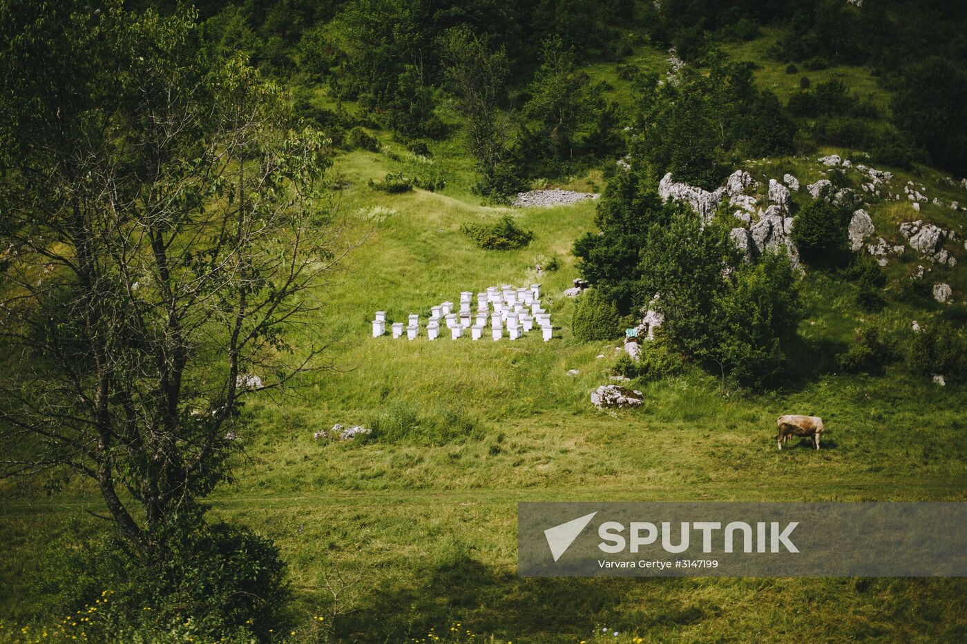 Countries of the world. Montenegro