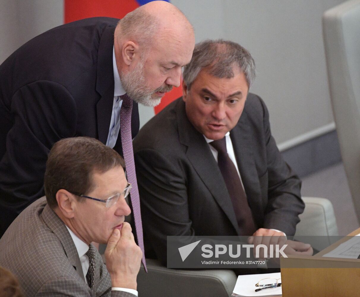 State Duma plenary meeting