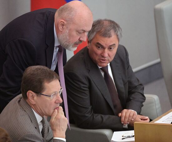 State Duma plenary meeting