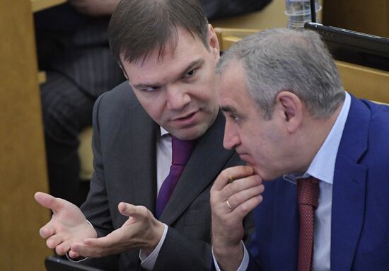 State Duma plenary meeting