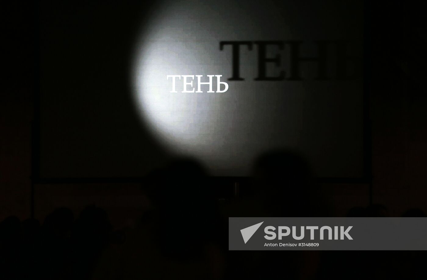 Shadow film demonstrated in Moscow metro