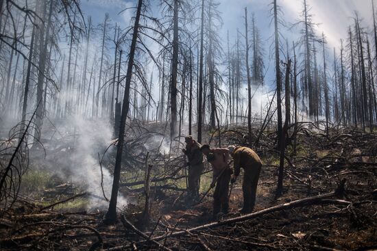 Forest fires in Buryatia
