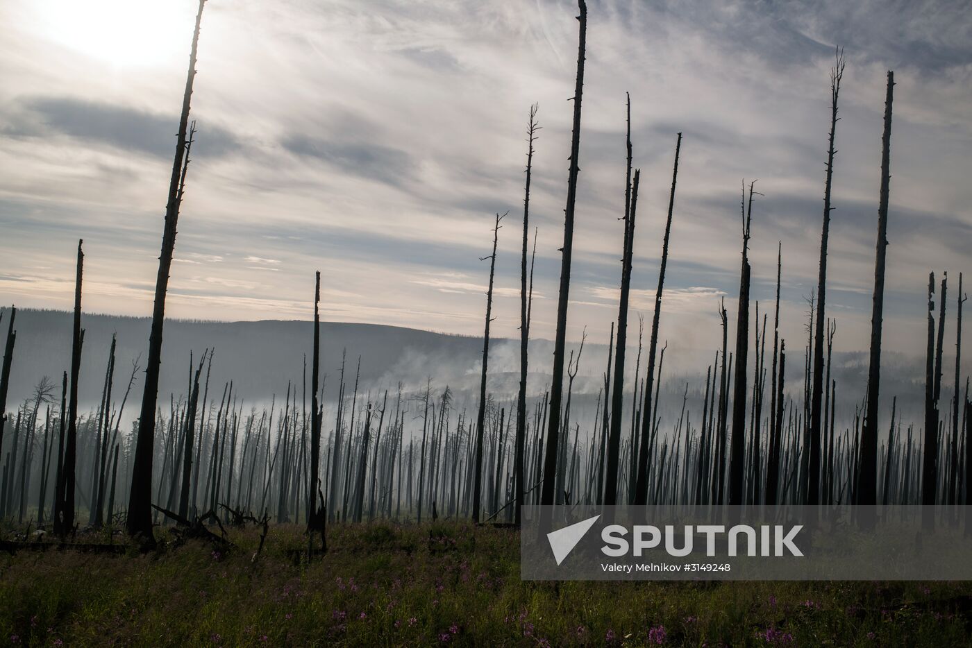 Forest fires in Buryatia