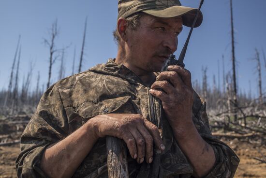 Forest fires in Buryatia