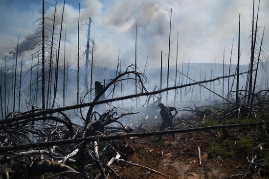 Forest fires in Buryatia