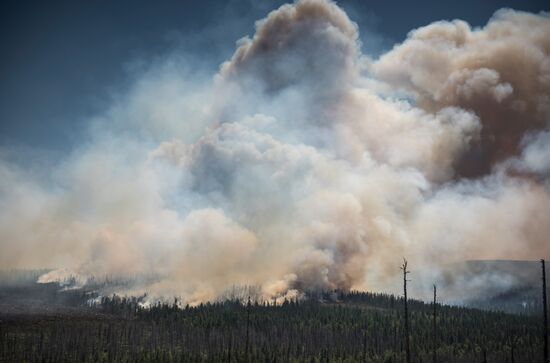 Forest fires in Buryatia