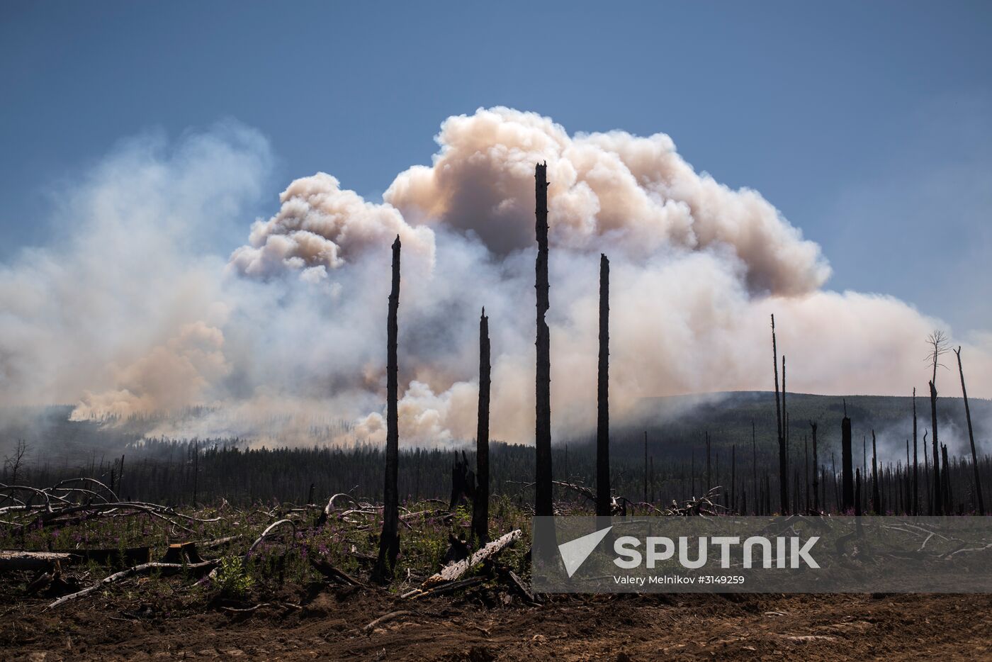 Forest fires in Buryatia