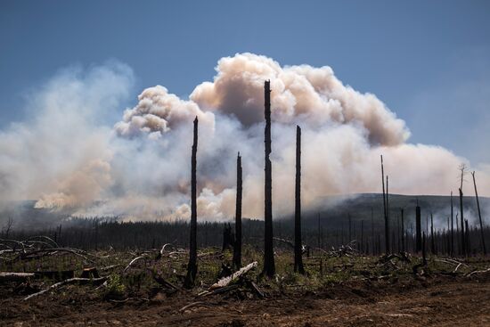 Forest fires in Buryatia