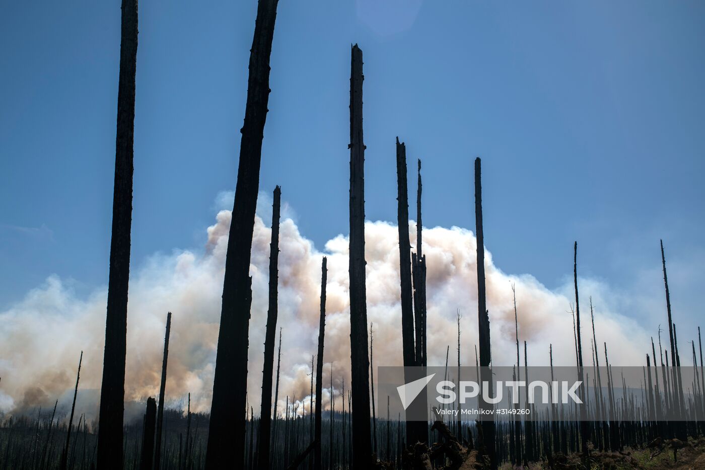 Forest fires in Buryatia