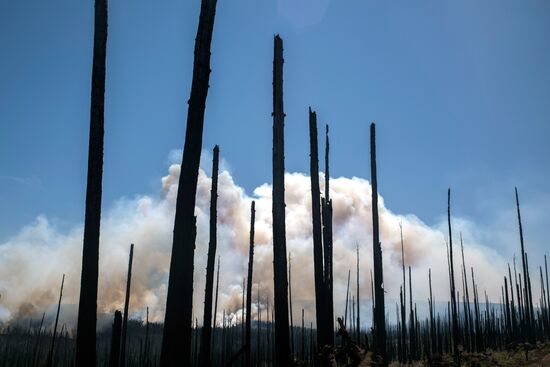 Forest fires in Buryatia