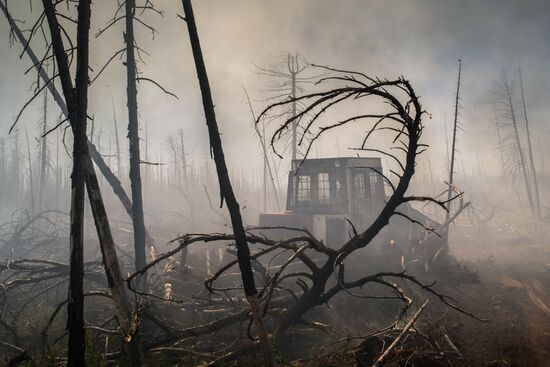 Forest fires in Buryatia