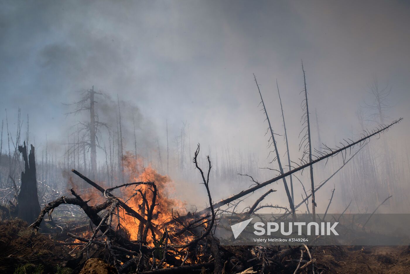 Forest fires in Buryatia