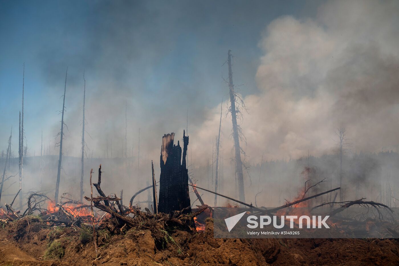 Forest fires in Buryatia