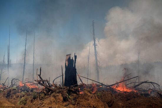 Forest fires in Buryatia