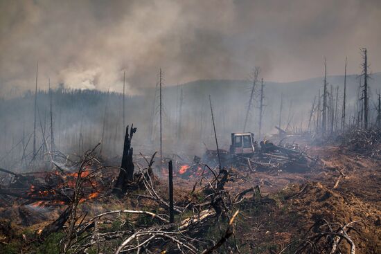 Forest fires in Buryatia