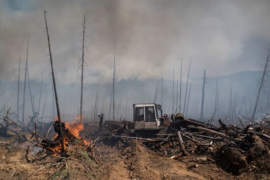 Forest fires in Buryatia