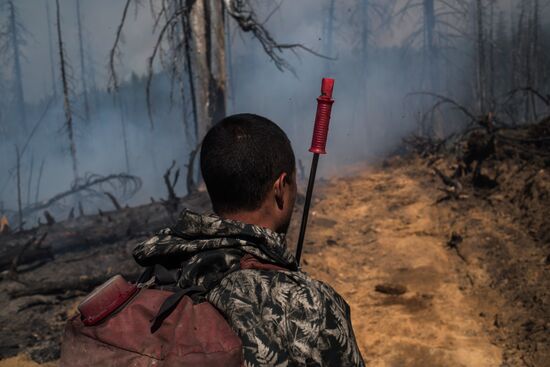 Forest fires in Buryatia