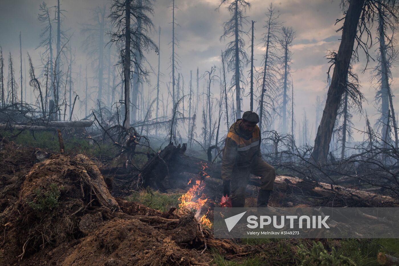 Forest fires in Buryatia