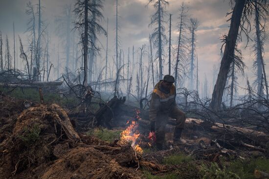 Forest fires in Buryatia