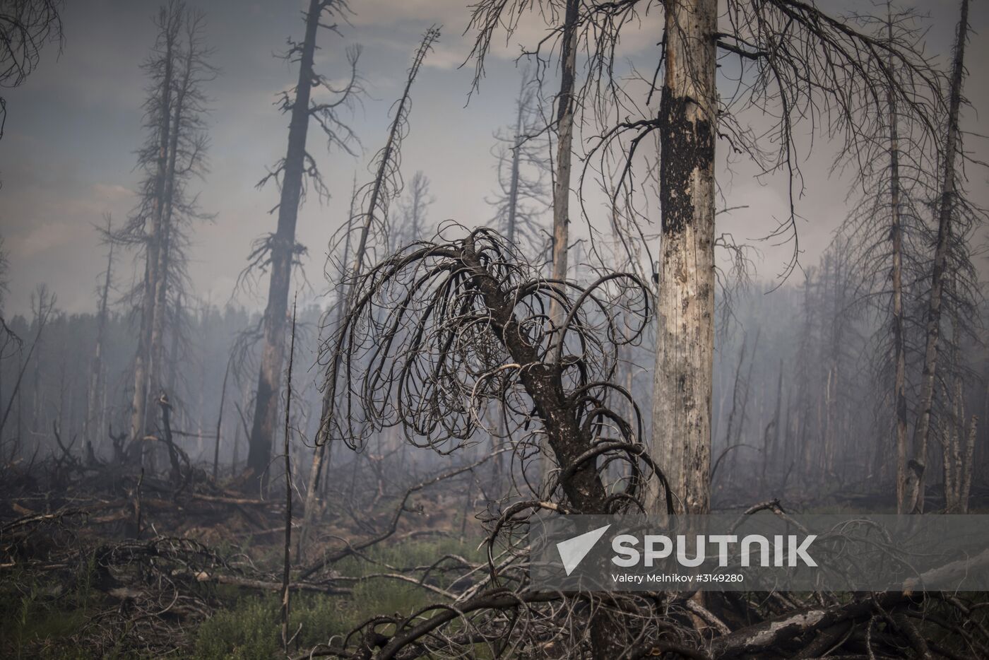 Forest fires in Buryatia