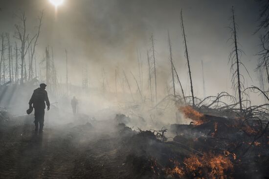Forest fires in Buryatia